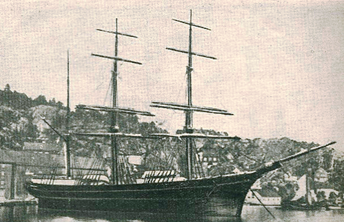 ARN75918730120001 OCEAN.png