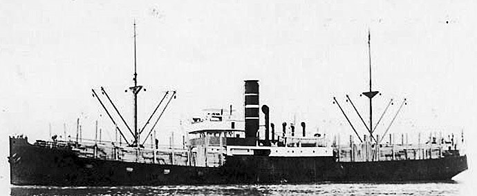 BRG13219230120001 DVINA