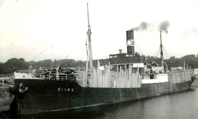 BRG21019250120001 ELNA E
