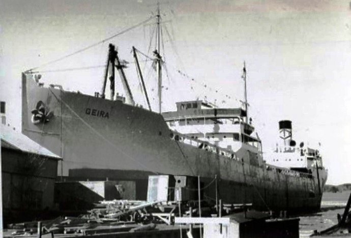 BRG21019460120001 GEIRA