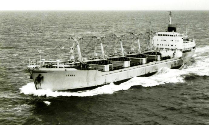 BRG21019630120001 GEIRA