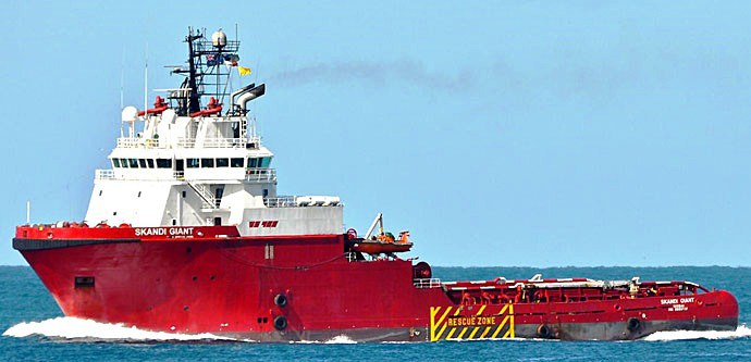 BRG21320080120001 SKANDI GIANT