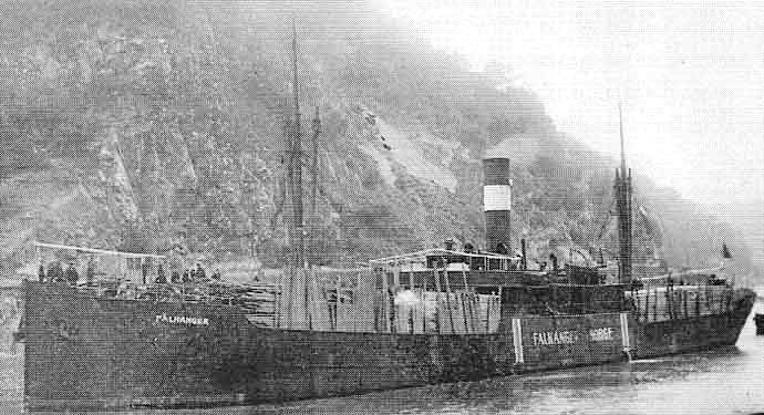 BRG52519150420001 FALKANGER