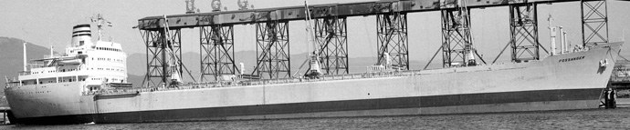 BRG52519650420001 FOSSANGER