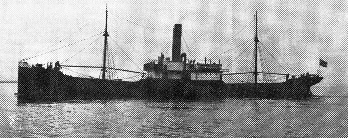 BRG53119130120001 VESLA