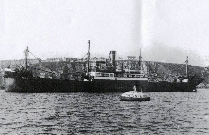 BRG53119160220001 SVINTA