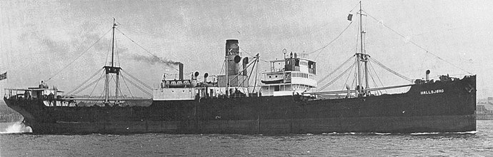 BRG53119300120001 THUHAUG