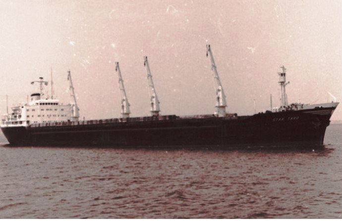 BRG53119650120001 STAR TARO