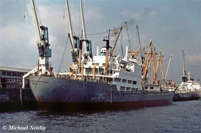 BRG53719690120001 NEPTUNE AQUAMARINE