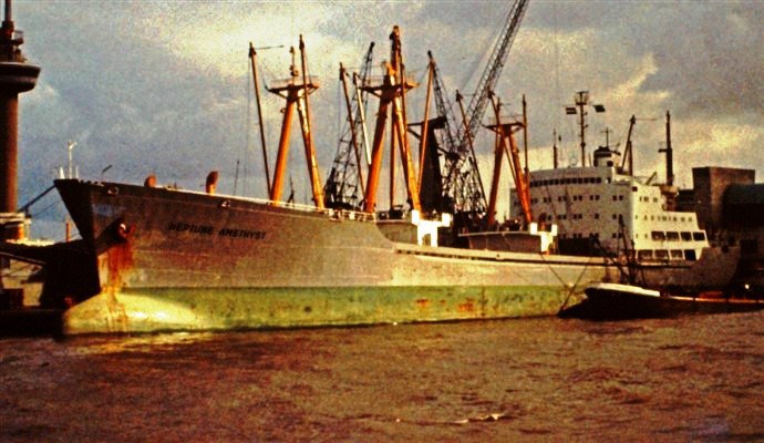 BRG53719690220001 NEPTUNE AMETHYST 