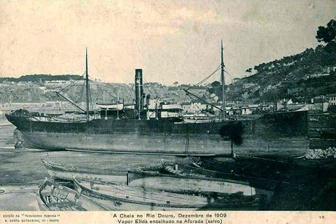 BRG54019010120001 ELLIDA