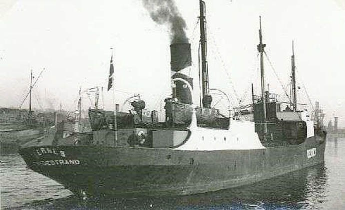 BRG54119340320001 STEIN