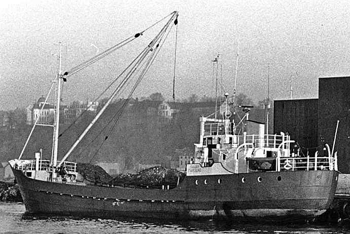 BRG54119540120001 STEINBJORN