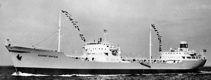 BRG54119540420001 HORNFIGHTER