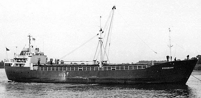 BRG54119690120001 STEINBUKK