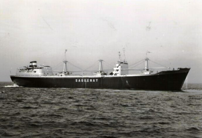 BRG54319690120001 SUNLEAF