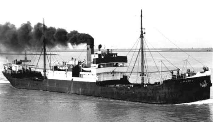 BRG54419170220001 VENUS II