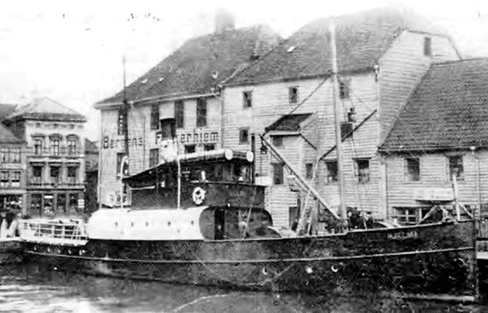 BRG55619110120001 HJELMA