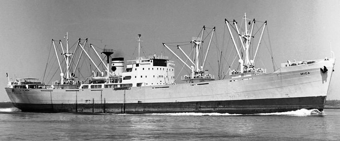 BRG56019540120001 ARNA