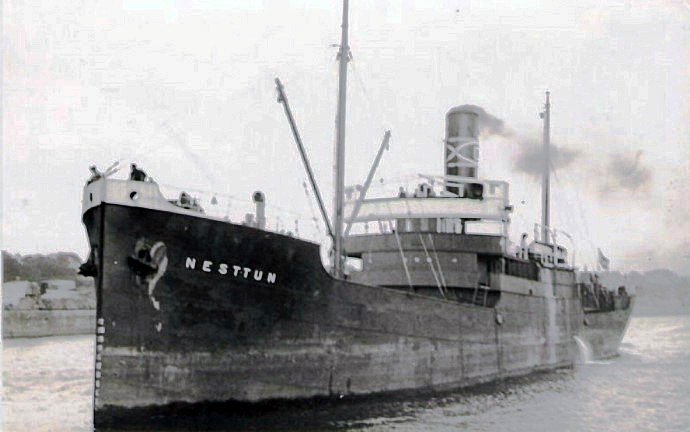 BRG56419170220001 NESTTUN