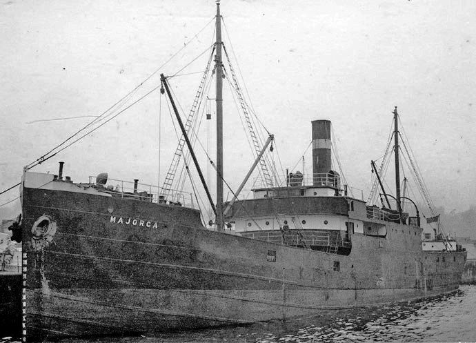 BRG56819210120001 FAEDRELAND