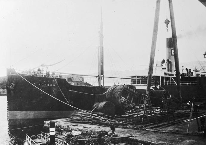 BRG54819141020001 RINGHORN