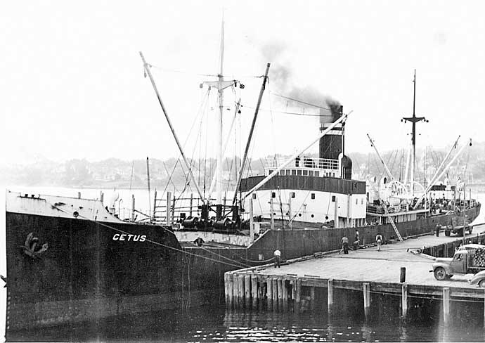 BRG57919360120001 CETUS