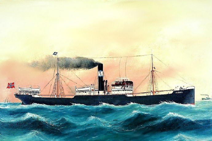 BRG58119190120001 ALBATROS