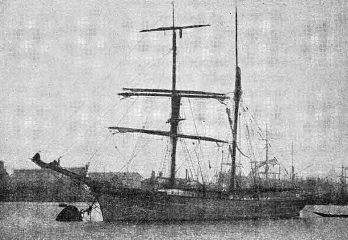 BVK18719020320001 SPECULATOR