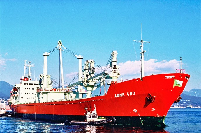 DRA45419900120001 ANNE GRO