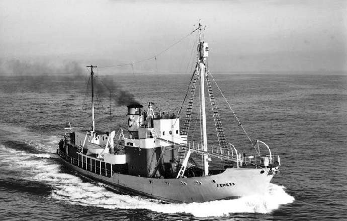 DUR90919710120001 TERRIER VIII