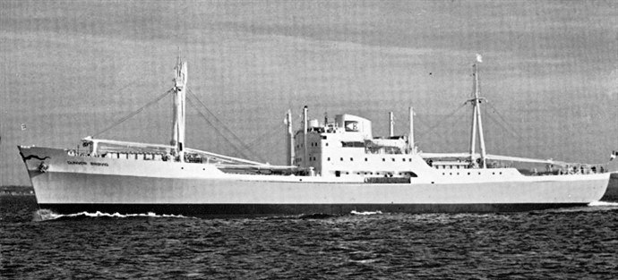 FAR30119540220001 GUNVOR BROVIG