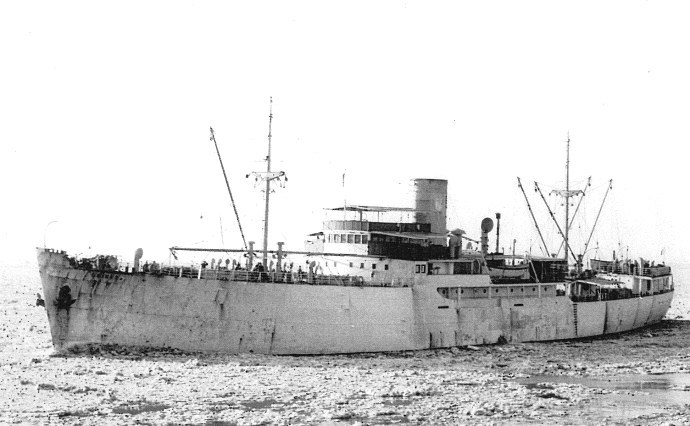 UKJ10119450520001 VIATOR