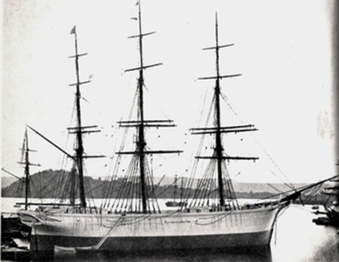 HAL69719000120001 HVIDEORN HAL69719000120001 HVIDEORN