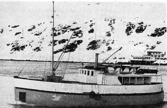 HMF10019580120001 SVARTNES