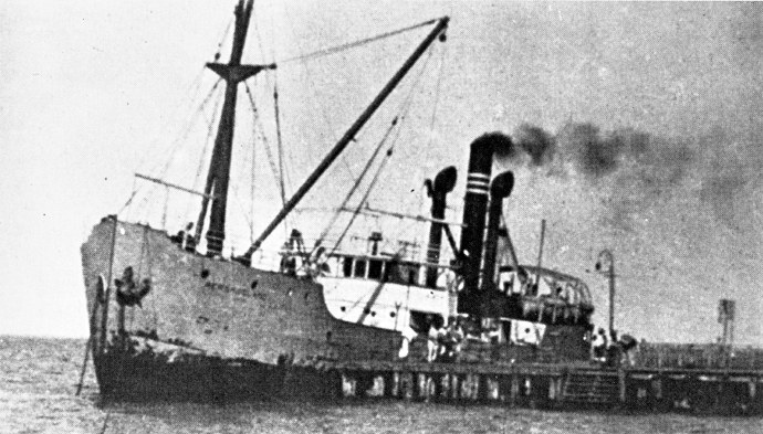 HAU21419230120001 PER SKOGLAND