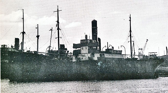 HAU23319400120001 GULHAUG
