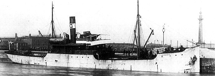 HAU24019500120001 MAGNHILD