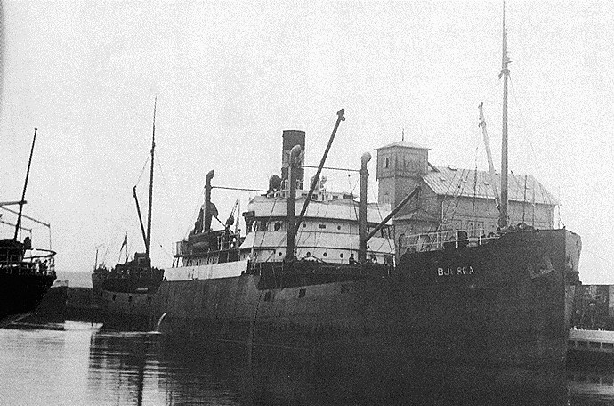KRR22019290120001 BJERKA