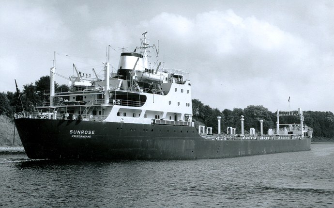 KRS21419630120001 SUNROSE