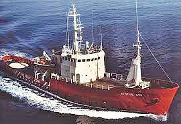 KRS21719951020001 VIKING VIGILANT