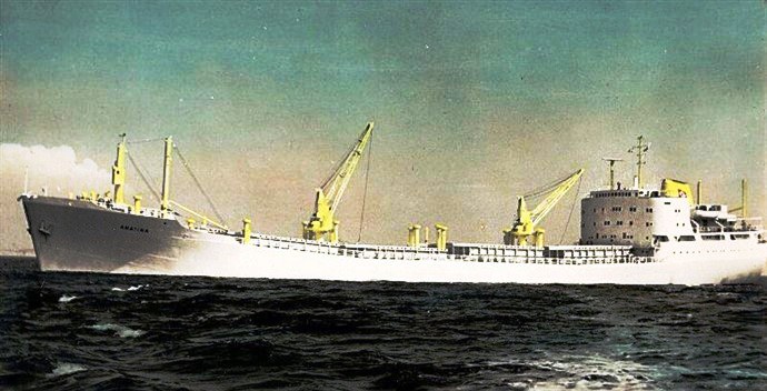 KRS21919630120001 ANATINA