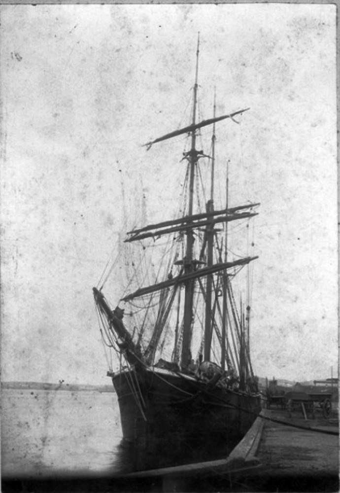 LVK20619110820001 PALANDER 