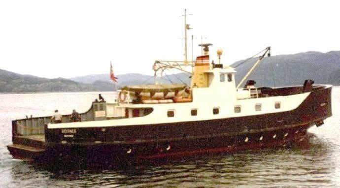 NMS10019670120001 GEISNES