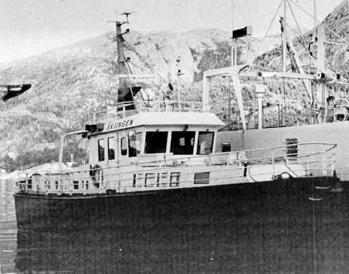 NMS10019830120001 SKJINGEN