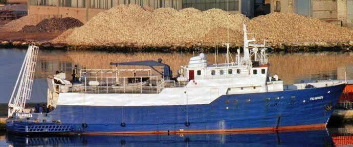 NAR10019750220001 MOSKEN