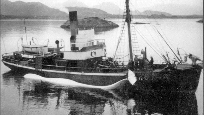 OSL22419080120001 ERLING