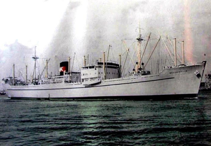 OSL30219470220001 BOUGAINVILLE