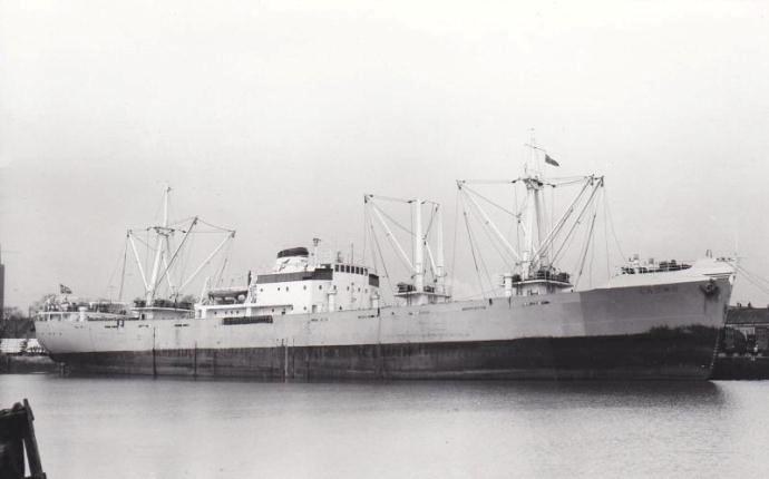 OSL30519610120001 LAGNO