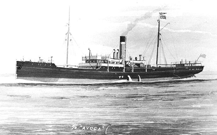 OSL30619130120001 AVOCA
